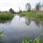staw i okolice_78