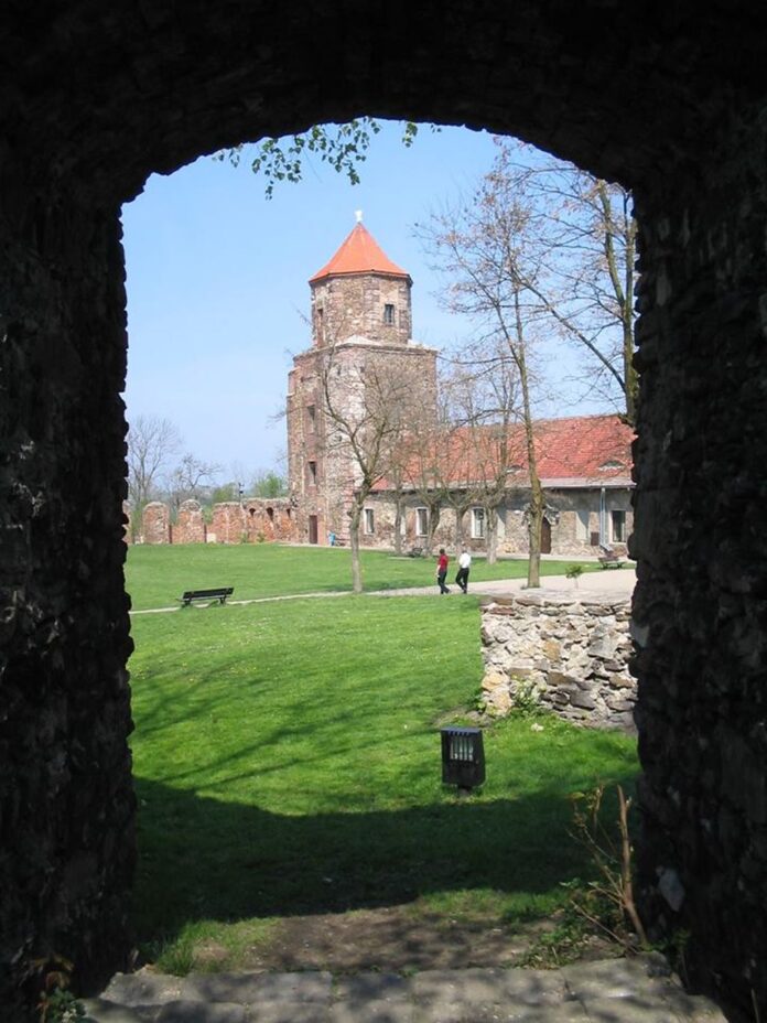 zamek-w-Toszku