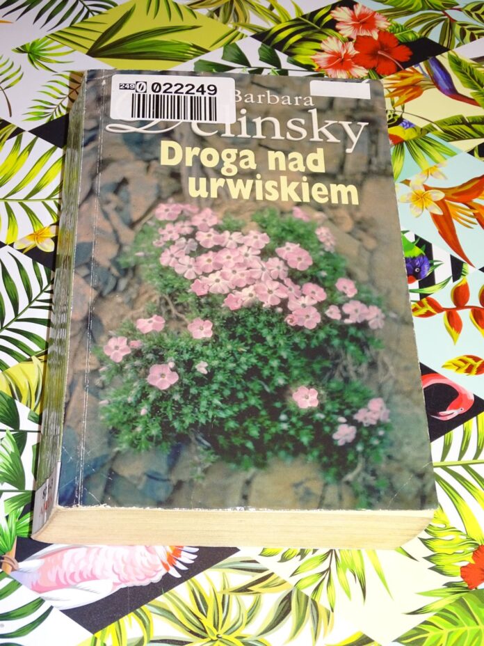DROGA NAD URWISKIEM