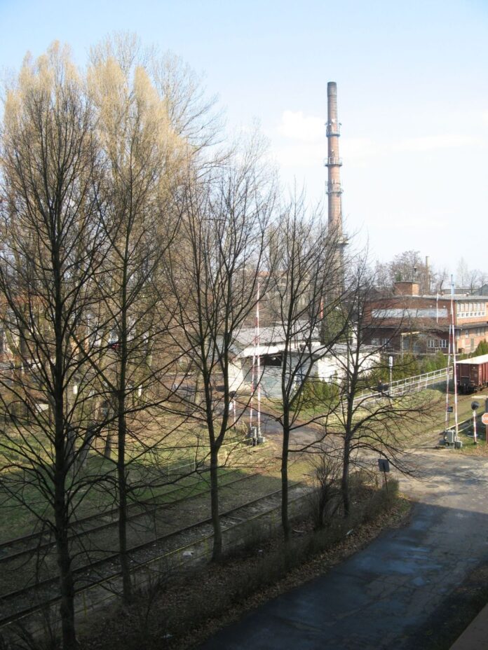 100_0325 100_0325