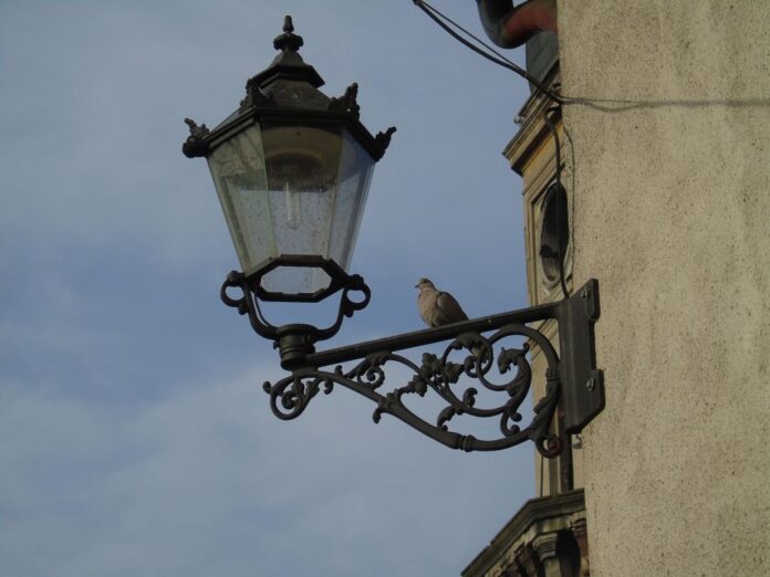 DSC00376 DSC00376