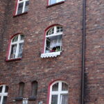 DSC03780-1068×801