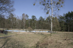 MG_0028-1024×683