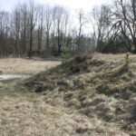 MG_0032-scaled